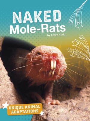 cover image of Naked Mole-Rats